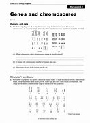 Image result for Worksheets On Difference Between Genes and Chromosomes