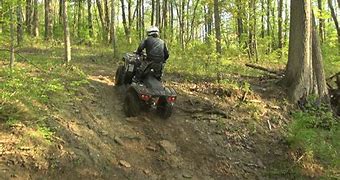 Image result for Kawasaki Brute Force Rides