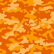 Image result for Camouflage A10