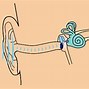 Image result for Jawbone Earbuds Fit