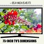 Image result for 7.5 Inch TVs vs 85
