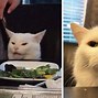 Image result for Confused Dinner Cat Meme