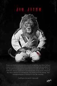 Image result for Jiu Jitsu Poster