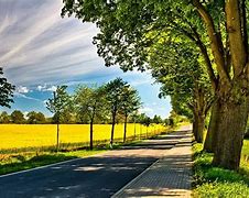 Image result for High Resolution Nature Wallpaper 1080P