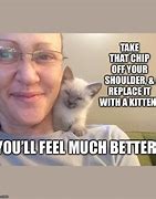 Image result for Get a Cat Meme