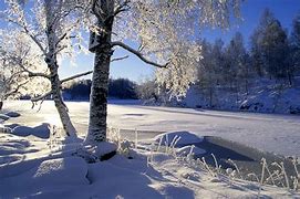 Image result for Bing Winter