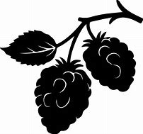 Image result for BlackBerry Silhouette