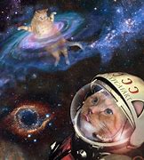 Image result for Cat Universe Meme