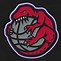 Image result for Toronto Raptors Retro Logo
