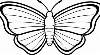Image result for Printable Animal Coloring Pages Butterfly
