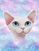 Image result for Cat Galaxy Wallpaper for Laptop Design 3D