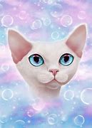 Image result for Funny Cat Galaxy Wallpapers
