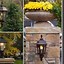 Image result for Natural Gas Lamps Outdoor
