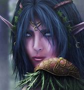 Image result for World of Warcraft Avatar