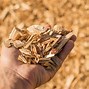 Image result for Biomass Waste