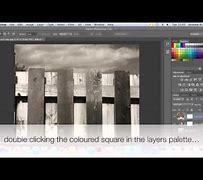 Image result for Color Tint Photoshop