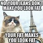 Image result for Grumpy Cat and Pokey Memes