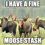Image result for Funny Moose Memes