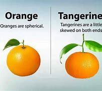 Image result for Difference Between Orange and Tangy Orange