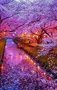 Image result for Osaka Japan Night. View