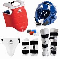 Image result for Karate Protective Gear