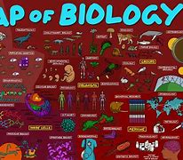 Image result for Bio Inc. Bio Map