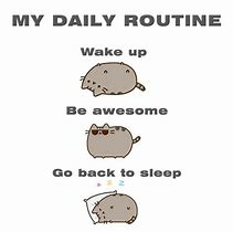 Image result for My Daily Routine Meme