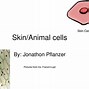 Image result for Apple Skin Cell