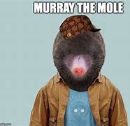 Image result for Mole Meme
