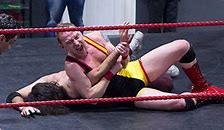 Image result for Professional Wrestling Holds