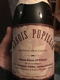 Image result for Emmanuel Houillon Pierre Overnoy Poulsard Arbois Pupillin