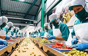 Image result for Food Processing
