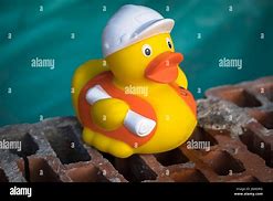 Image result for Rubber Duck Construction