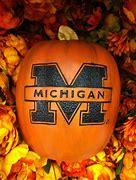 Image result for Funny Michigan Wolverine Memes