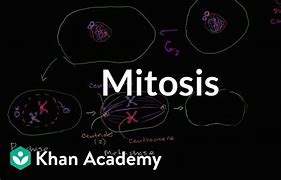 Image result for Khan Academy Parts of the Cell