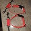 Image result for Harness Clip