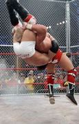 Image result for Canadian Destroyer Wrestling Moves