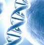 Image result for DNA Structure Wallpaper