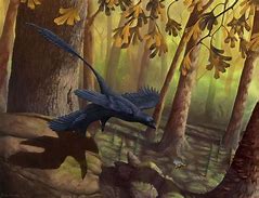 Image result for What Is the Smallest Dinosaur