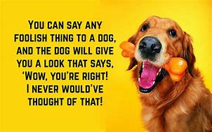 Image result for Cute Adorable Animal Quotes