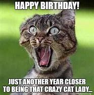 Image result for Happy Birthday Cat Meme