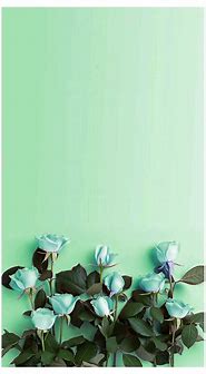 Image result for Mint Green iPhone Wallpaper