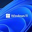 Image result for Win 11 Download