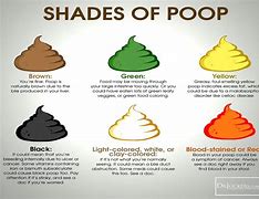 Image result for Your Poop
