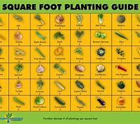 Image result for Square Foot Gardening Template
