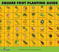 Image result for 30 Square Foot
