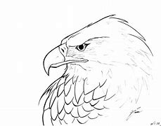 Image result for Eagle Straight Line Drawing