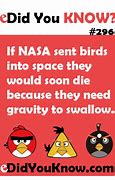 Image result for Did You Know Quotes Funny