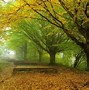 Image result for Fall Leaves and Apple's