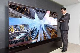 Image result for The Biggest TV in India